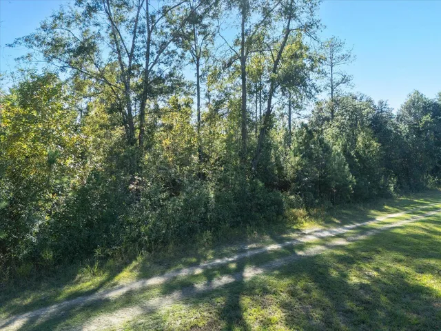 $83,000 | Johnny Road, Lamont, FL 32336