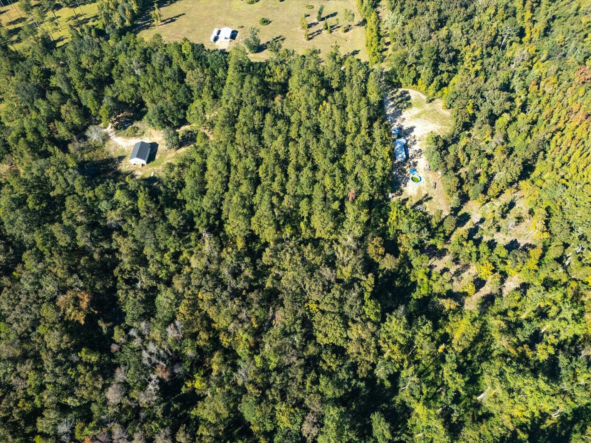 Johnny Road Lamont, FL 32336 - Photo 19 of 24