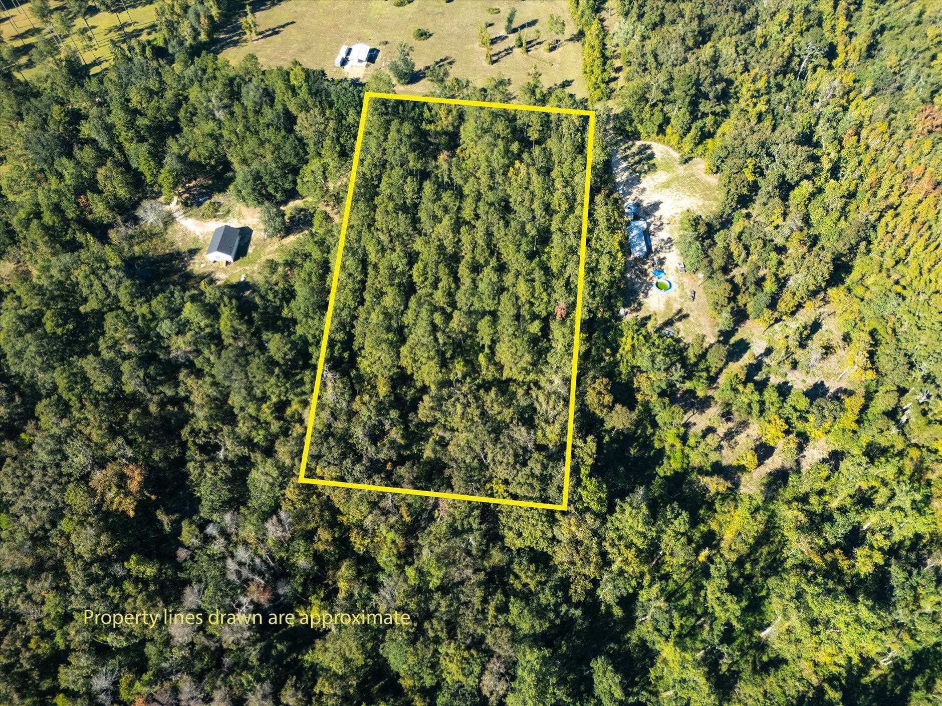 Johnny Road Lamont, FL 32336 - Photo 20 of 24