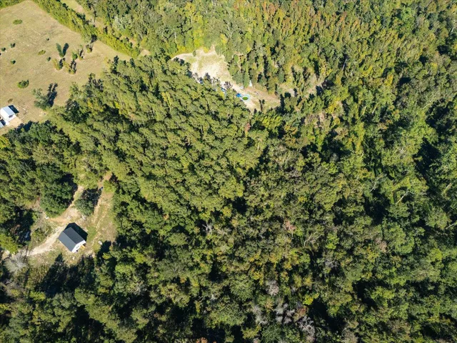 $83,000 | Johnny Road, Lamont, FL 32336