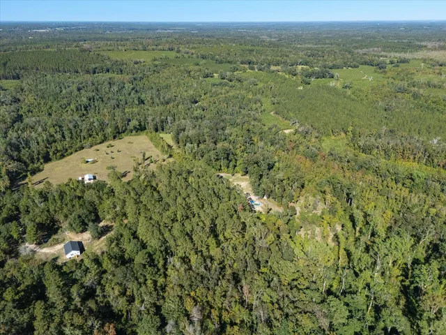 $83,000 | Johnny Road, Lamont, FL 32336