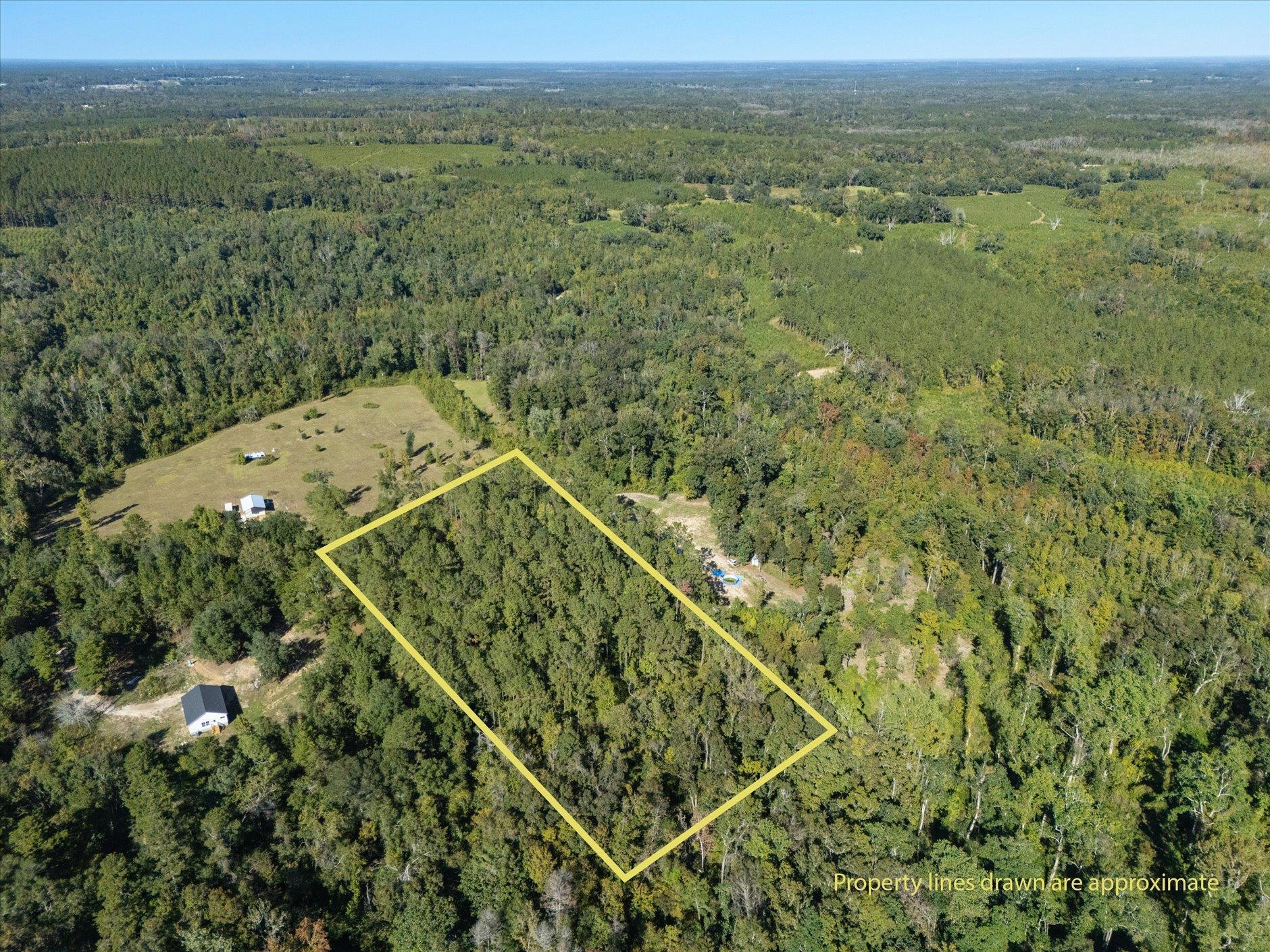 Johnny Road Lamont, FL 32336 - Photo 22 of 24