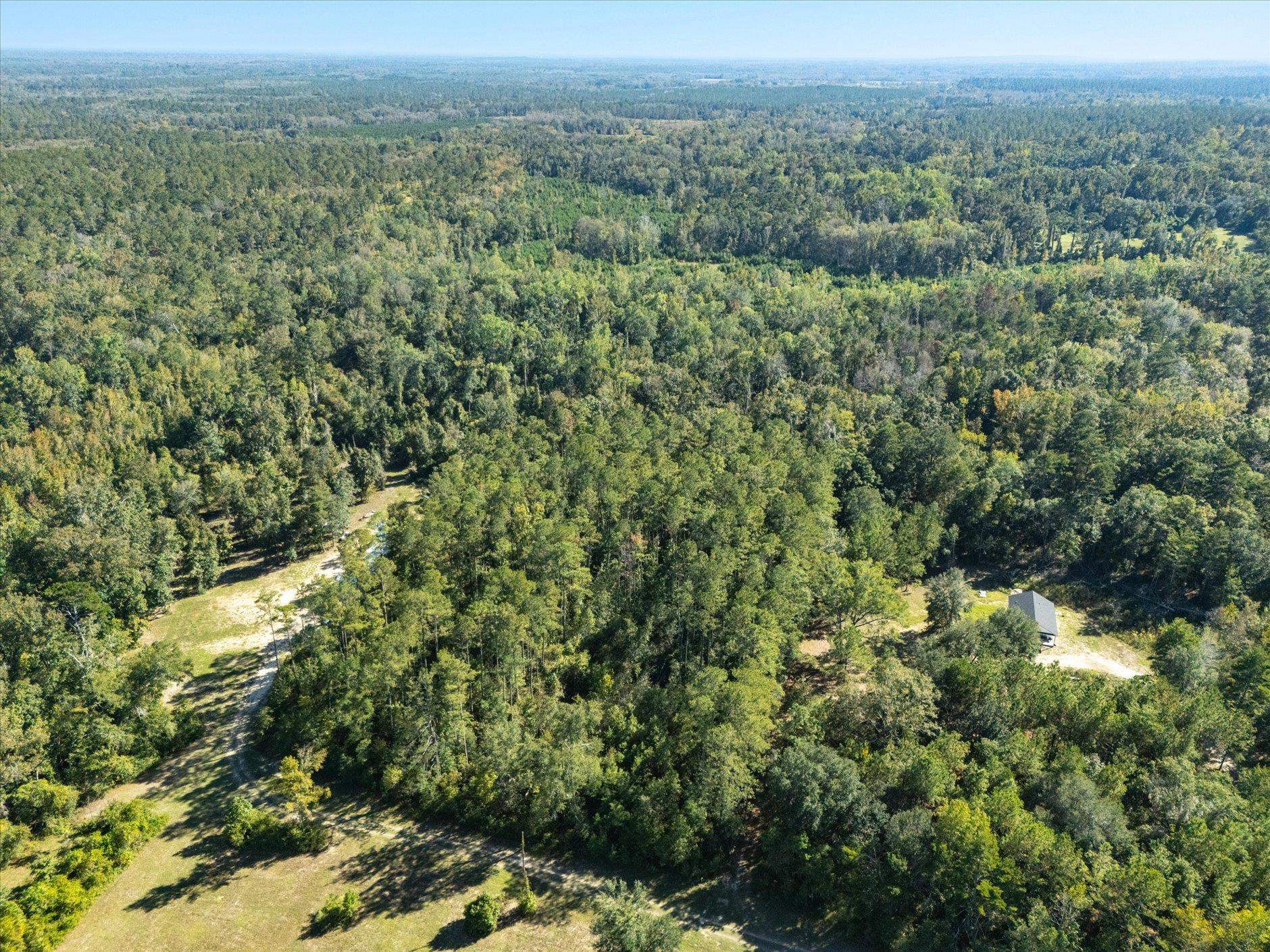 Johnny Road Lamont, FL 32336 - Photo 23 of 24