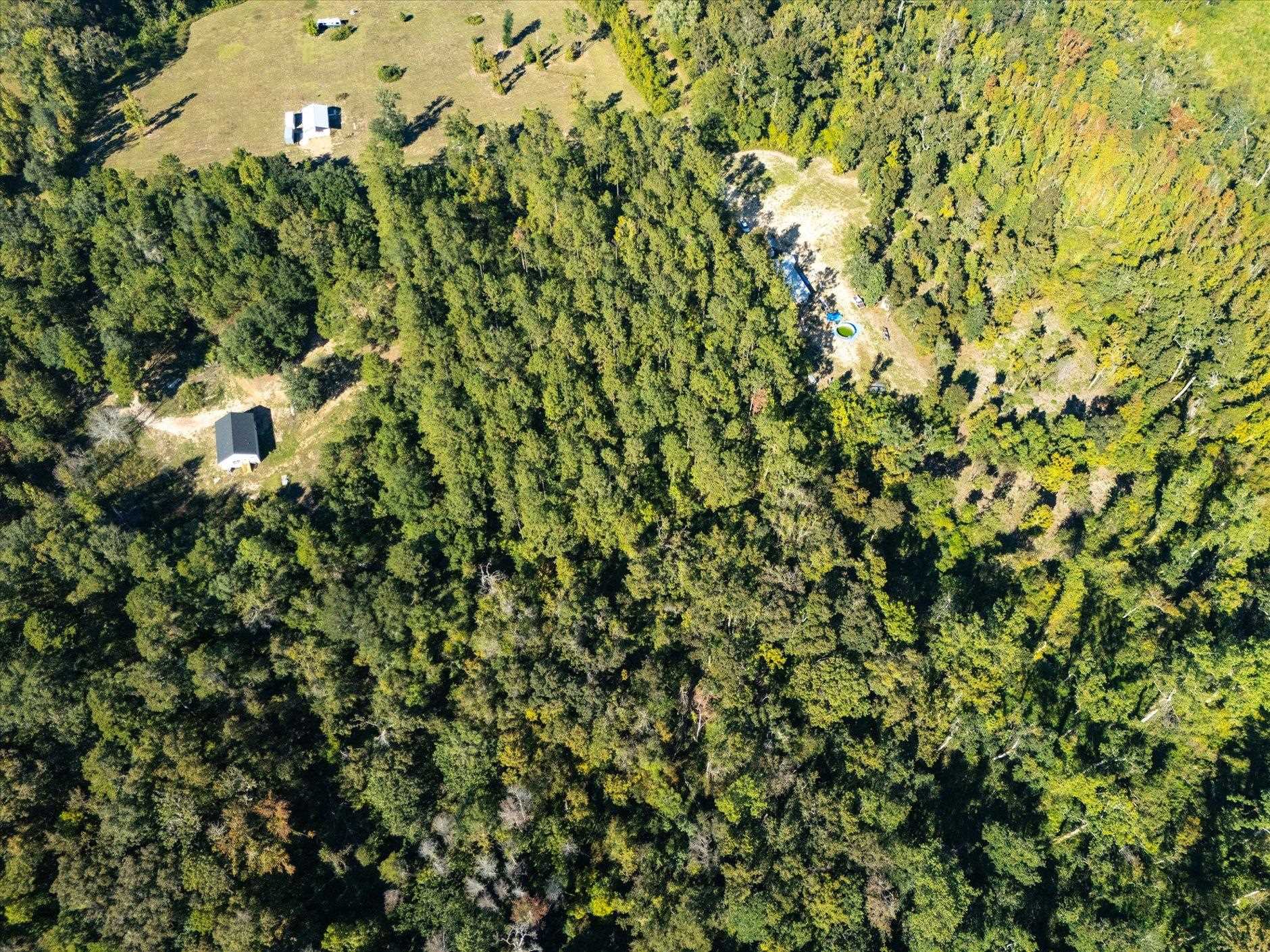 Johnny Road Lamont, FL 32336 - Photo 3 of 24