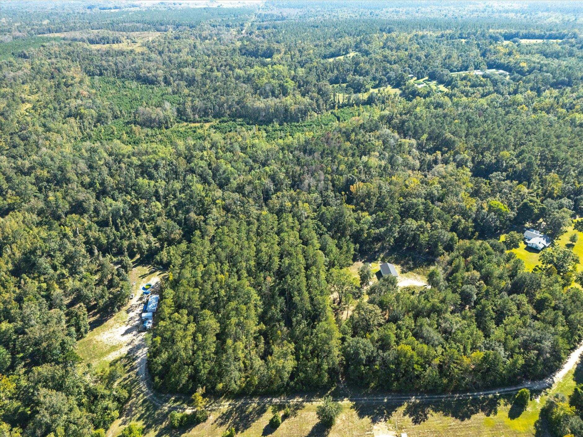 Johnny Road Lamont, FL 32336 - Photo 4 of 24