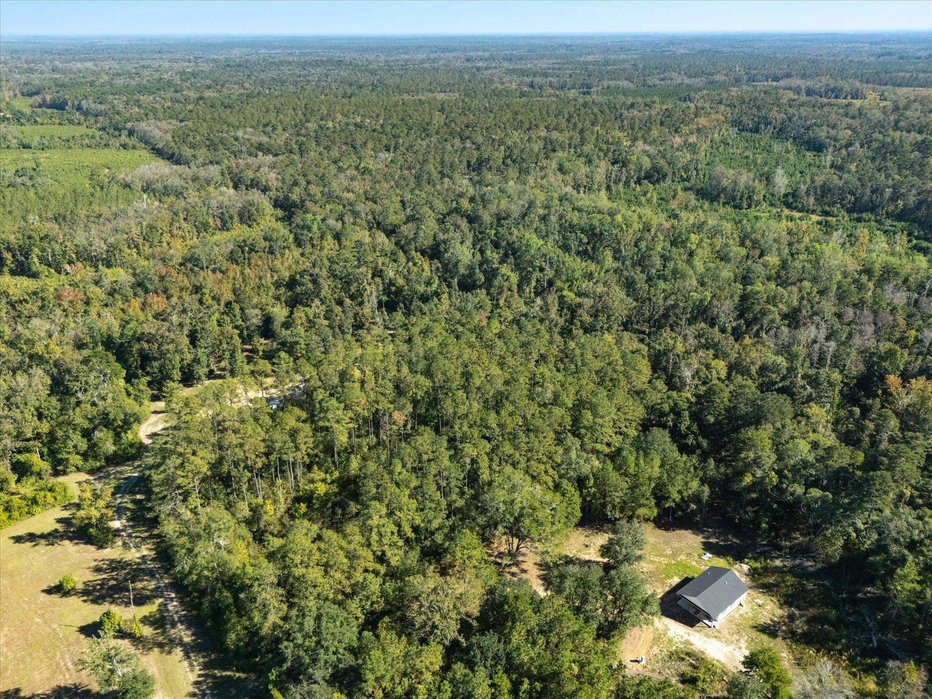 Johnny Road Lamont, FL 32336 - Photo 5 of 24