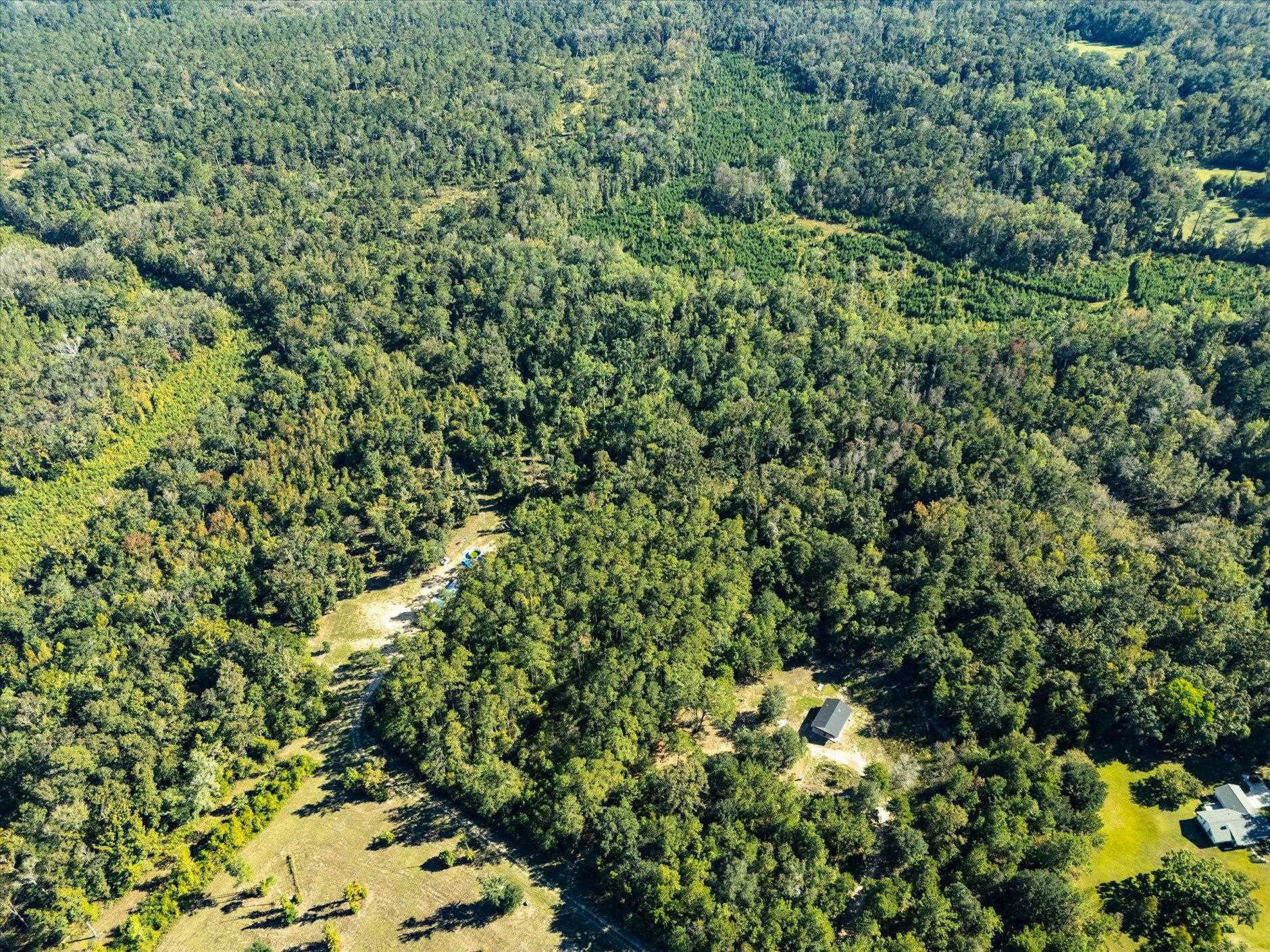 Johnny Road Lamont, FL 32336 - Photo 6 of 24