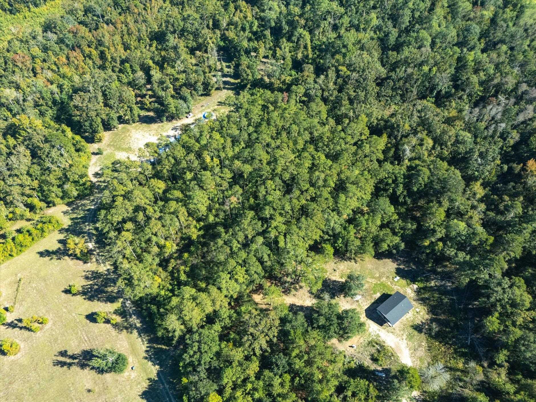 Johnny Road Lamont, FL 32336 - Photo 7 of 24