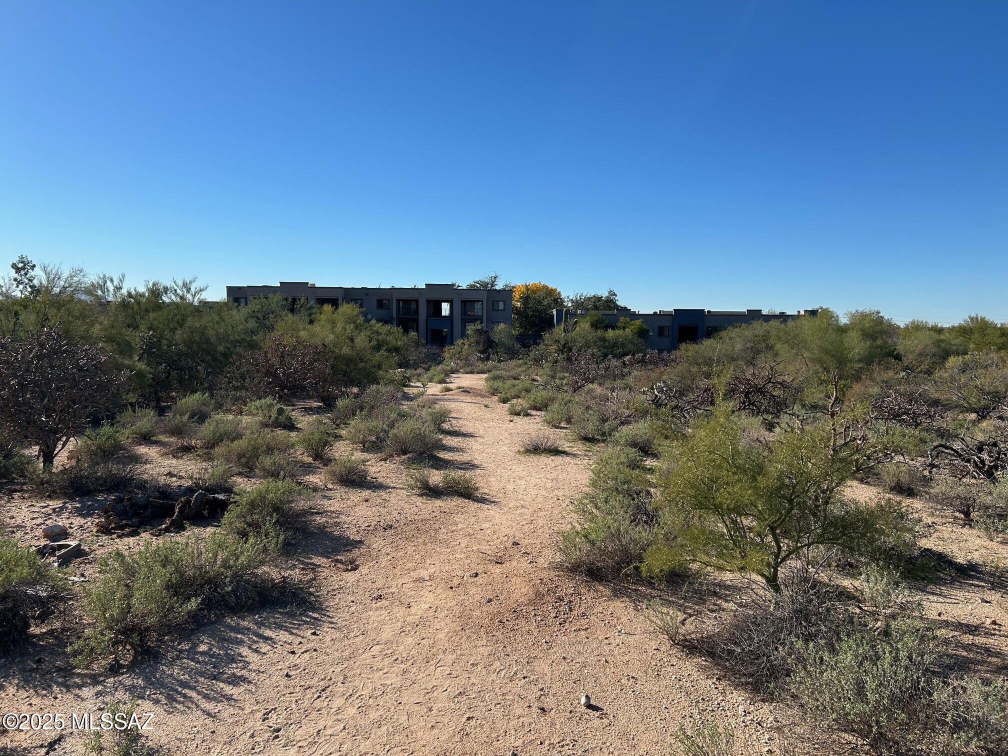 North Oracle Road, Unit 22516 Tucson, AZ 85704 - Photo 3 of 10 a view of a forest with trees