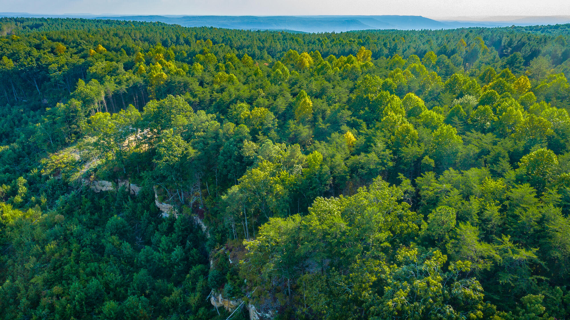 0 High Ground Road, Unit LOT 2218 Guild, TN 37340 - Photo 50 of 115 0 High Ground Road - Lot 2218 HD-13