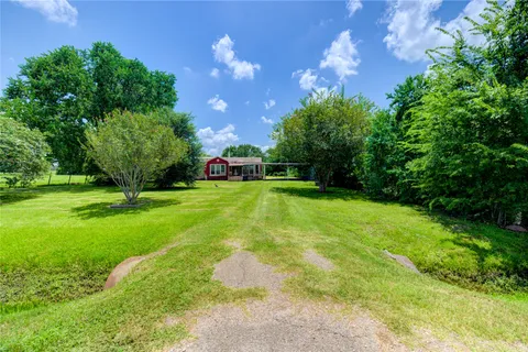a view of a park with large trees