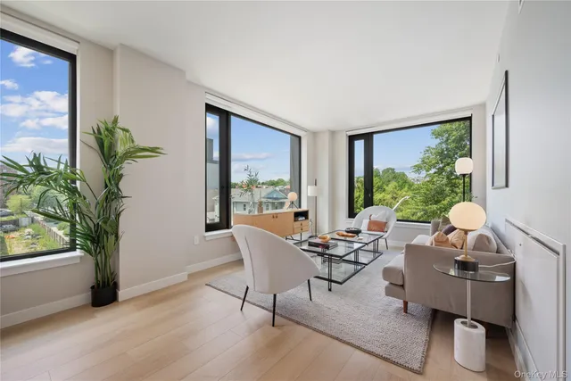 a living room with furniture and a potted plant