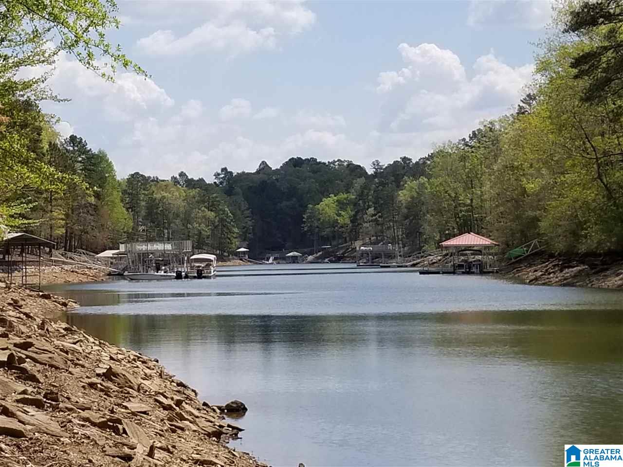 Lot 106 River Birch Road, Unit LOT 106 Wedowee, AL 36278 - Photo 4 of 14