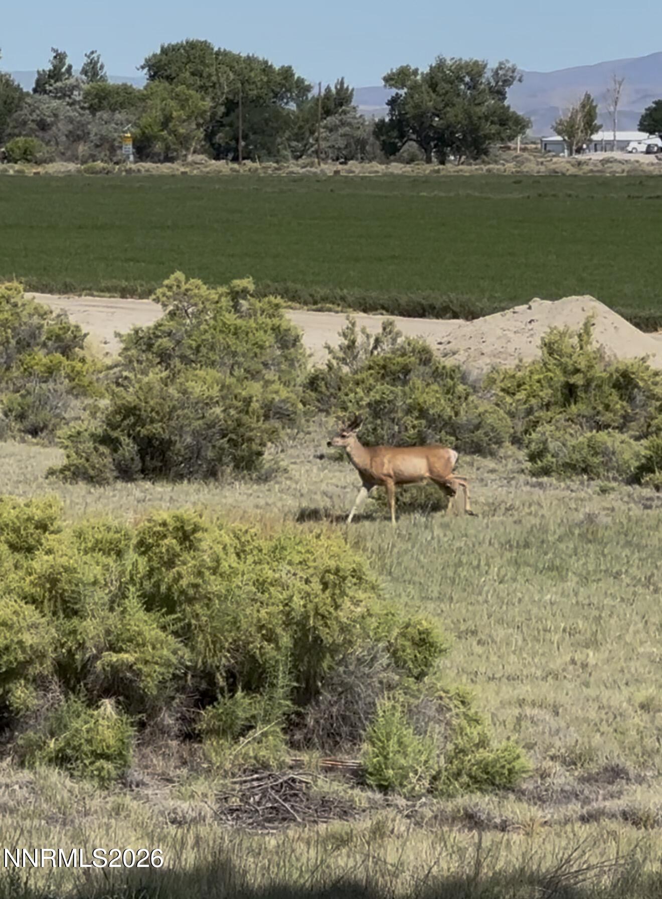 2195 Old River Road Fallon, NV 89406 - Photo 43 of 43 IMG_1842