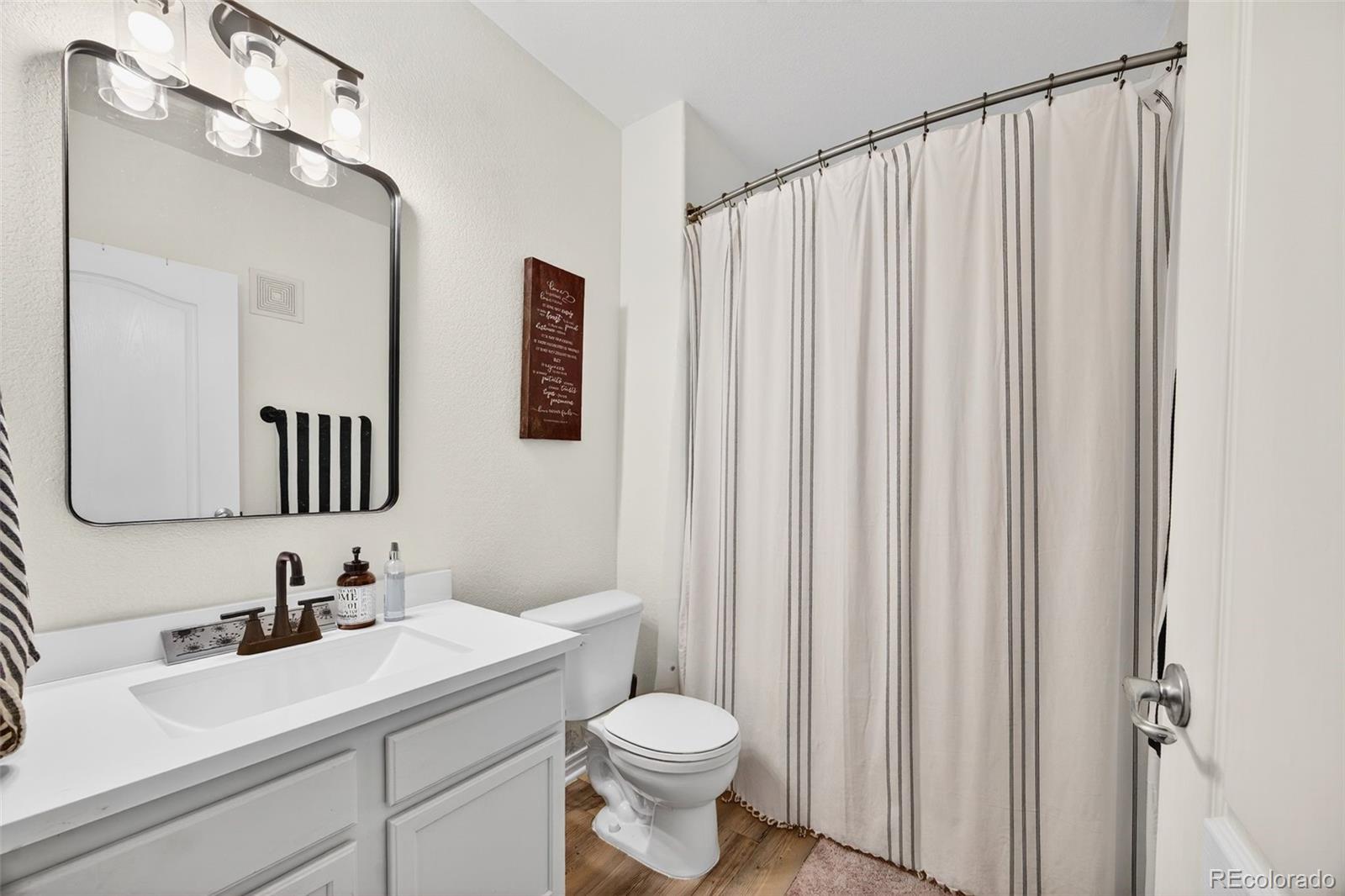 18669 Stroh Road, Unit 10005 Parker, CO 80134 - Photo 11 of 18 a bathroom with a sink a toilet and a mirror