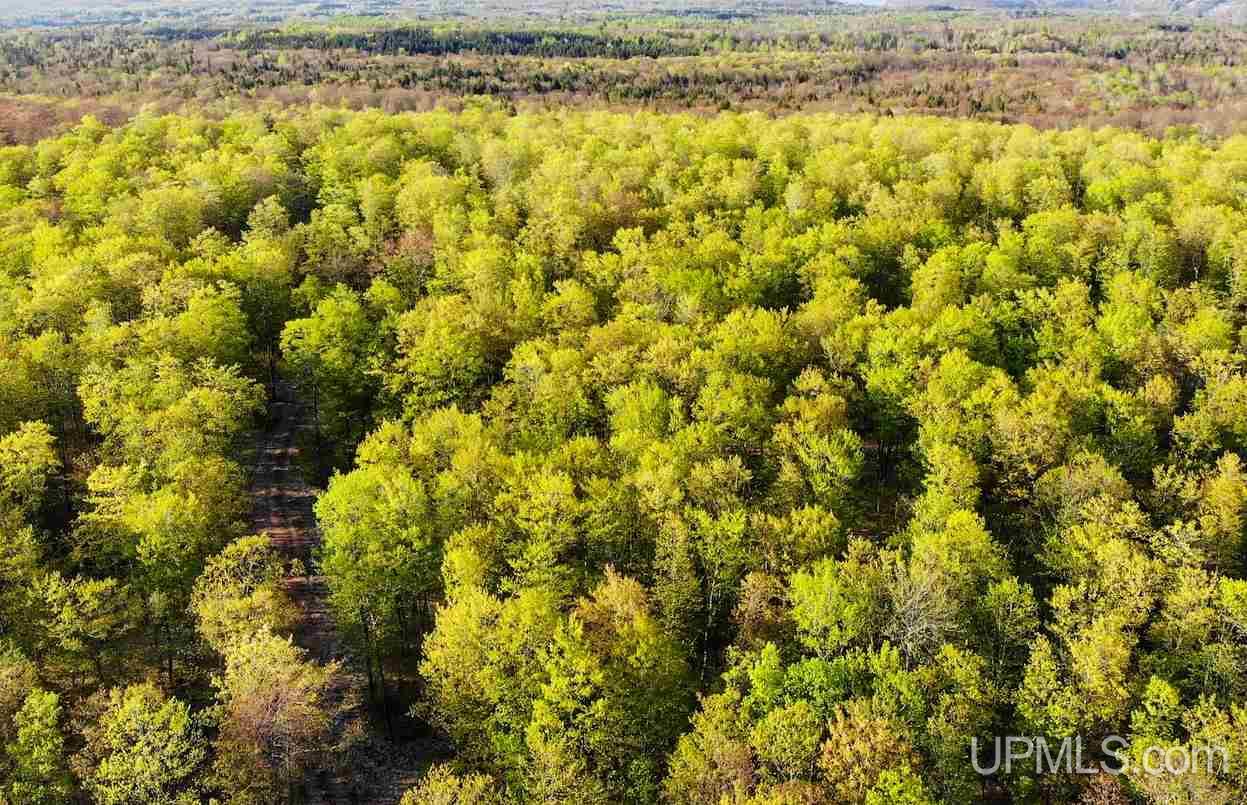 Tbd Off Coles Creek Road, Unit PARCEL 12 Hancock, MI 49931 - Photo 4 of 15
