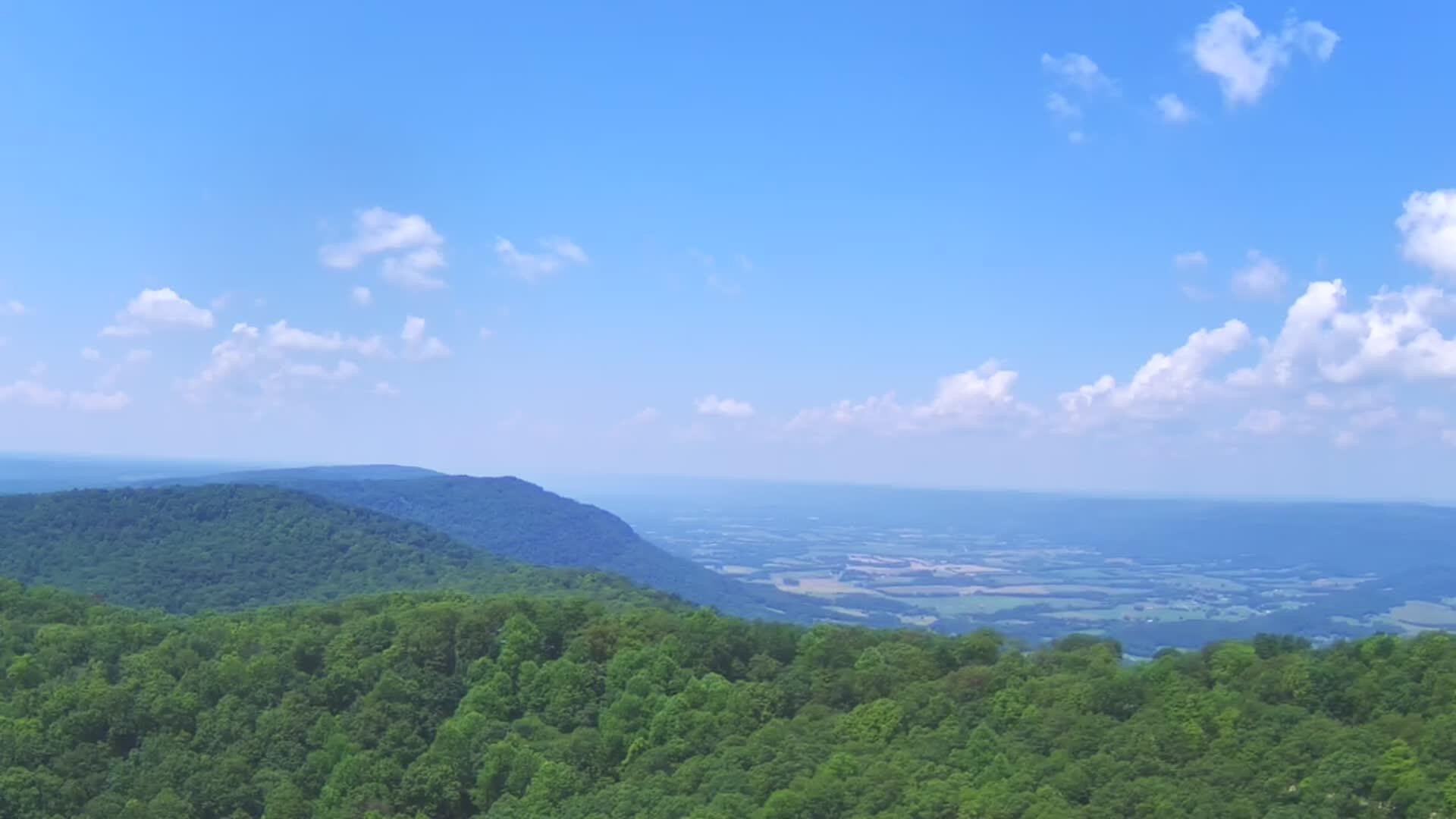 1499 Big Ridge Road Spring City, TN 37381 - Photo 47 of 51