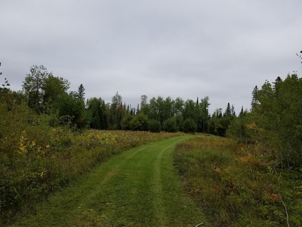 20-ac Off Boyer Road Mercer, WI 54547 - Photo 9 of 21 Gallery Image 9