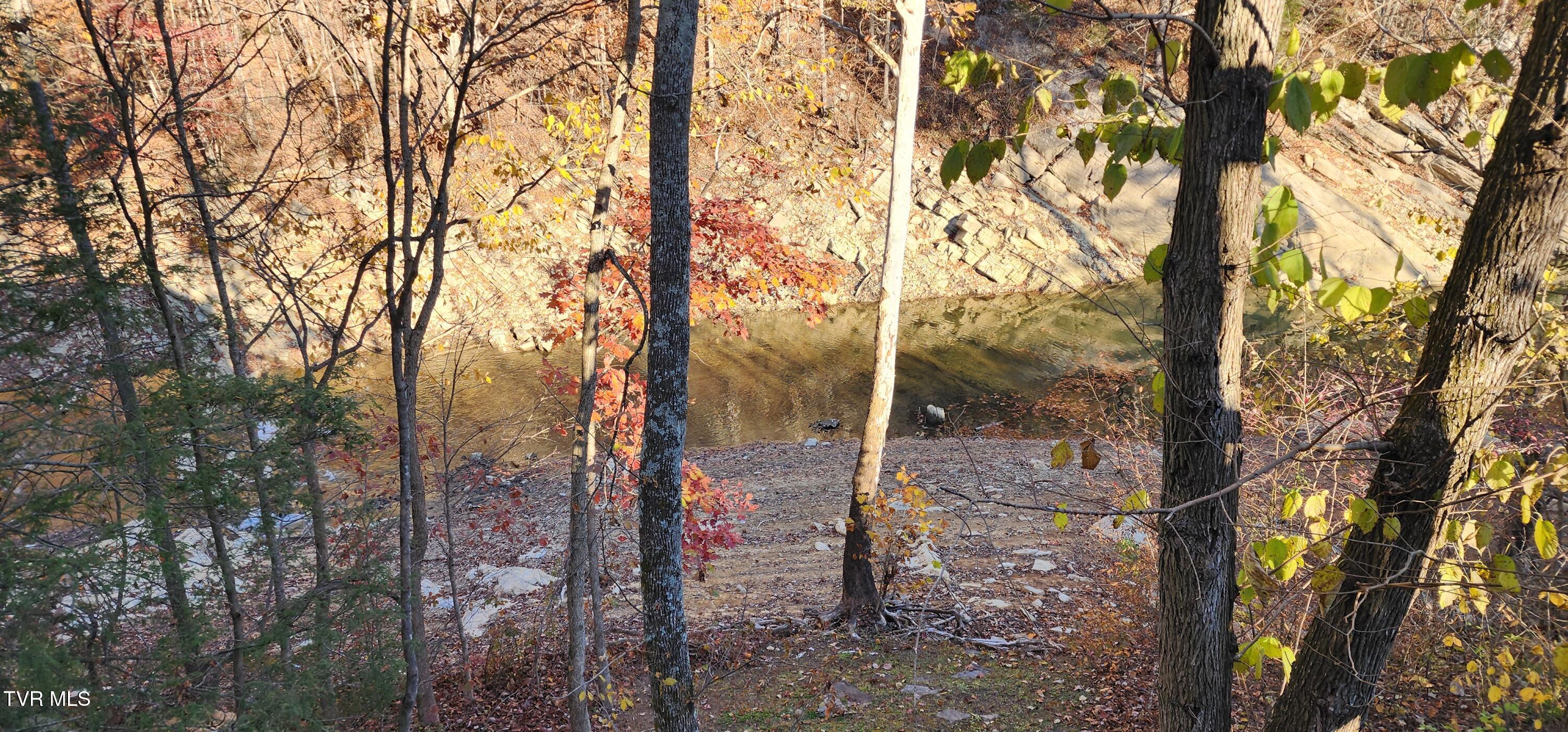 22089 Parks Mill Road Abingdon, VA 24211 - Photo 28 of 35 20251104_154401