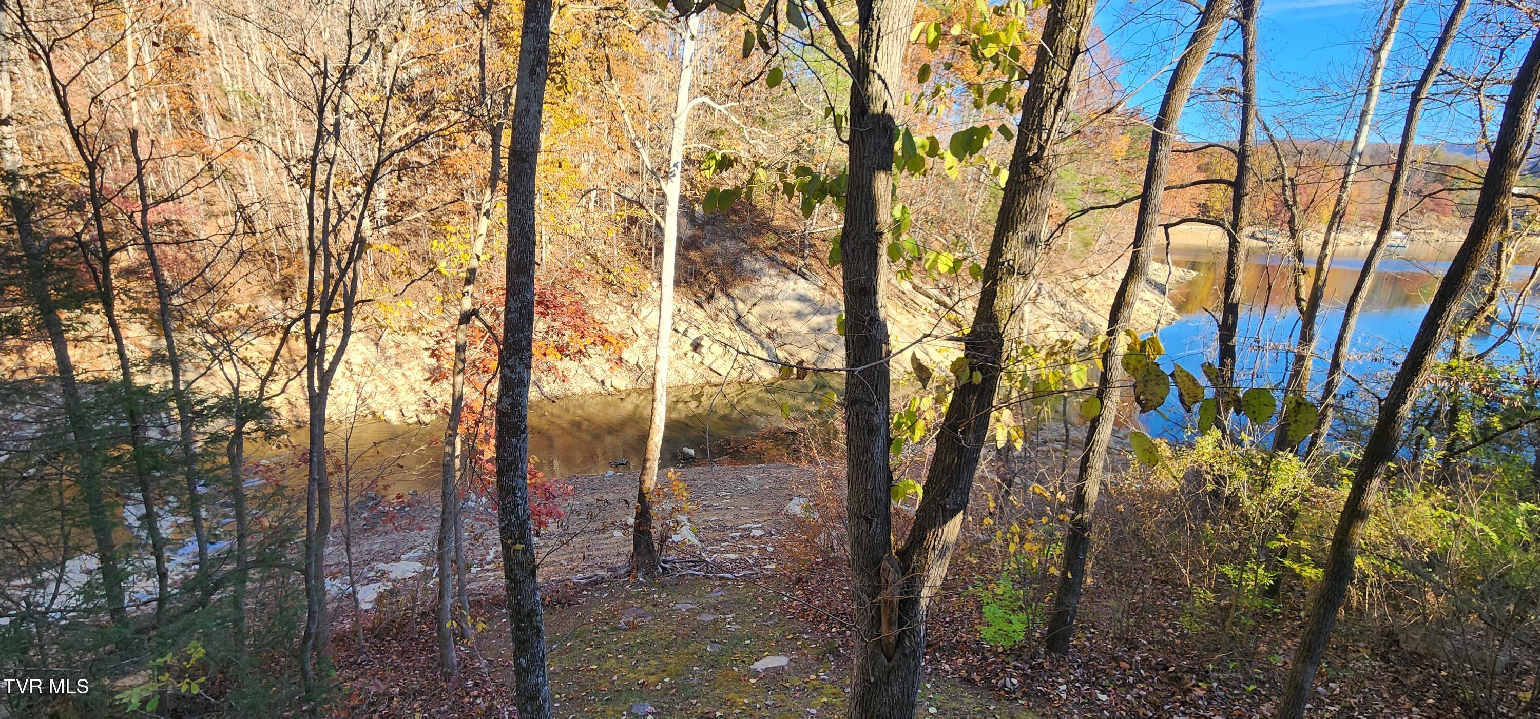 22089 Parks Mill Road Abingdon, VA 24211 - Photo 29 of 35 20251104_154424