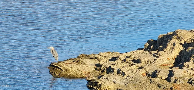 $1,550 | 22089 Parks Mill Road, Abingdon, VA 24211