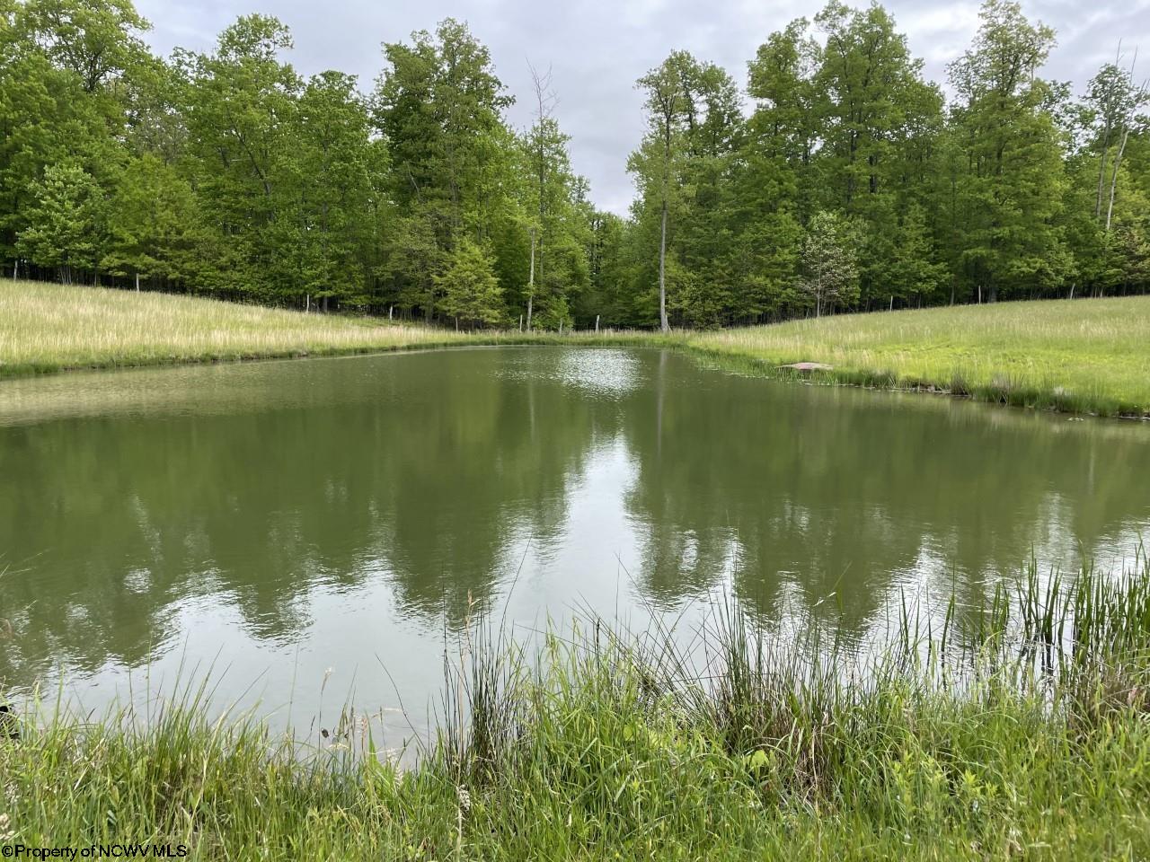 1200 Sand Bank Road Fairmont, WV 26554 - Photo 12 of 30 Gallery Image 12
