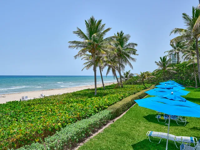 a view of a balcony with a palm tree