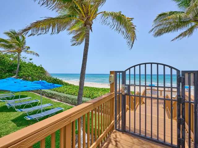 a view of a roof deck with palm trees