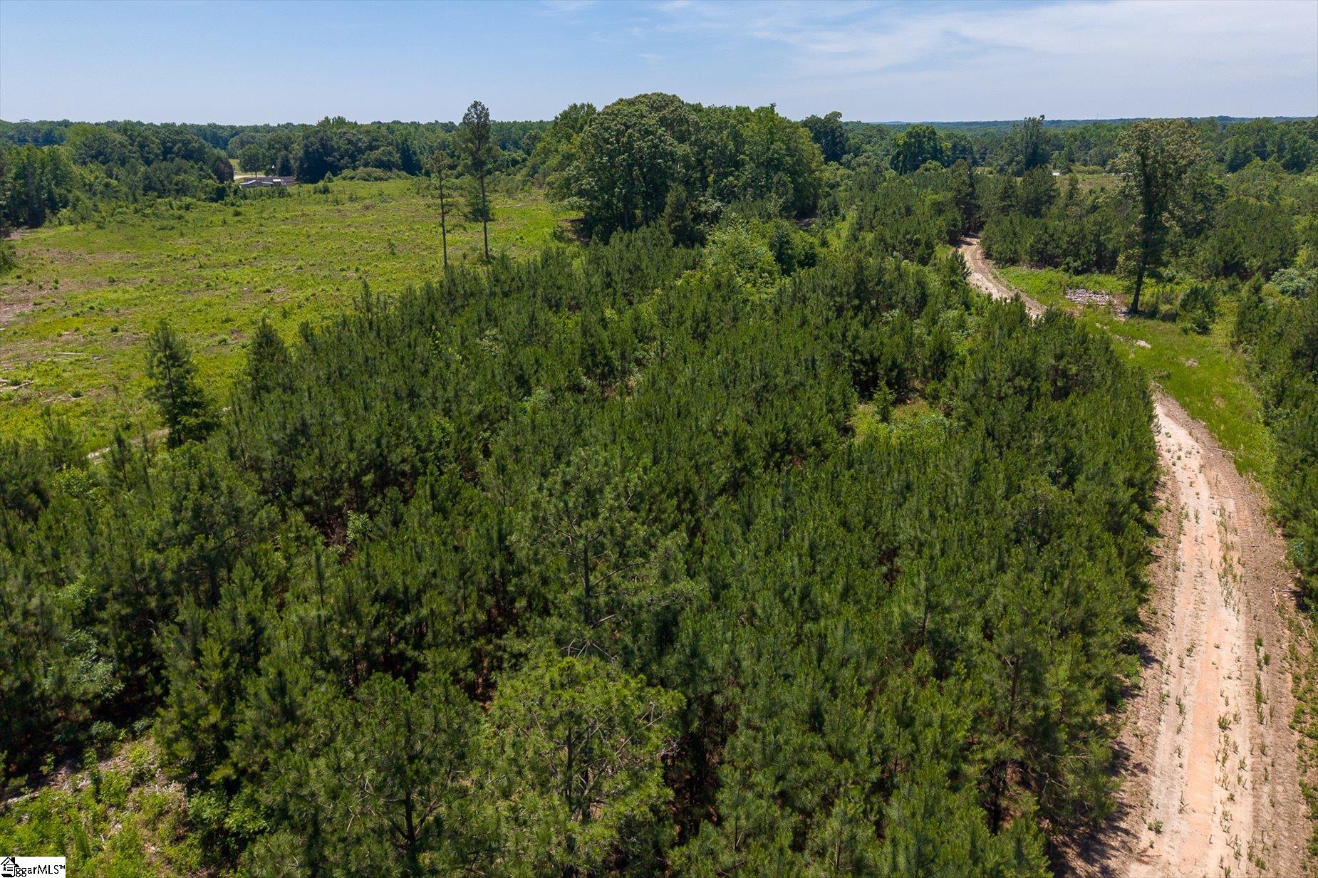 9761 Augusta Road Pelzer, SC 29669 - Photo 9 of 14
