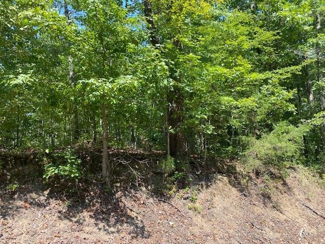 0 Prett Roland Road Adamsville, TN 38310 - Photo 14 of 16 Gallery Image 14
