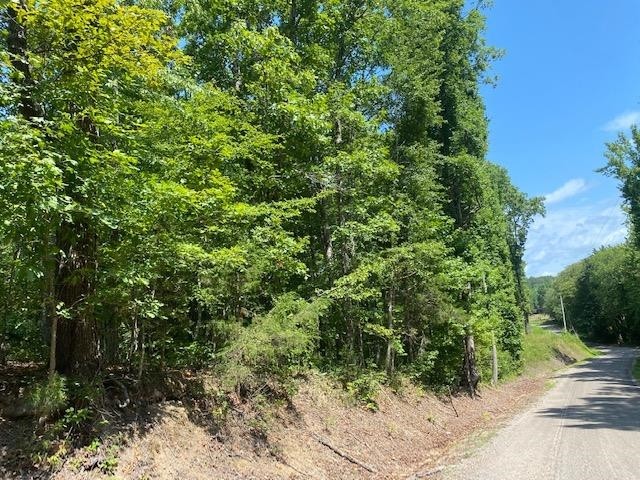 0 Prett Roland Road Adamsville, TN 38310 - Photo 15 of 16 Gallery Image 15