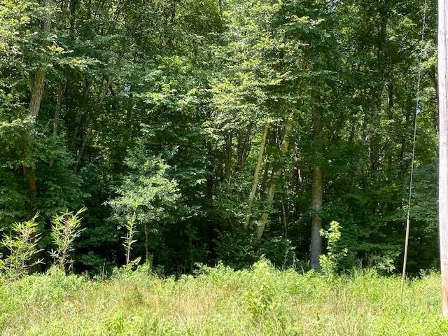 0 Prett Roland Road Adamsville, TN 38310 - Photo 3 of 16 Gallery Image 3