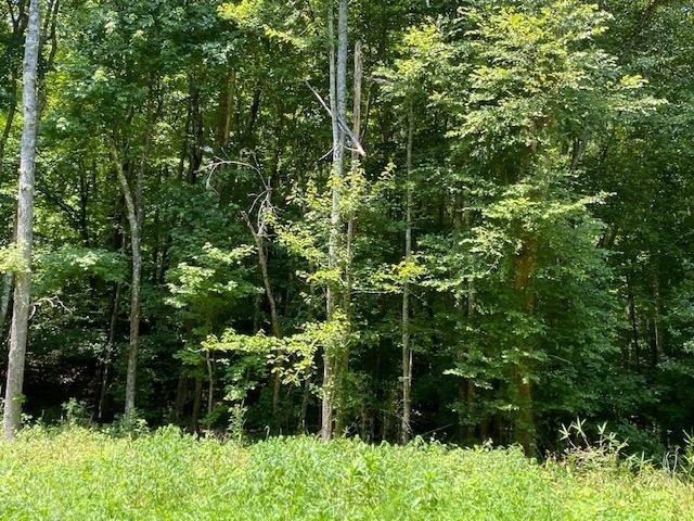 0 Prett Roland Road Adamsville, TN 38310 - Photo 4 of 16 Gallery Image 4