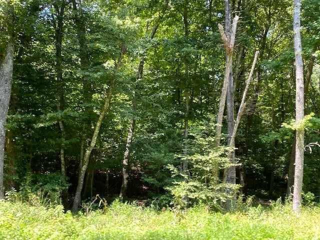 0 Prett Roland Road Adamsville, TN 38310 - Photo 6 of 16 Gallery Image 6