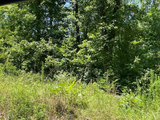 0 Prett Roland Road Adamsville, TN 38310 - Photo 8 of 16 Gallery Image 8
