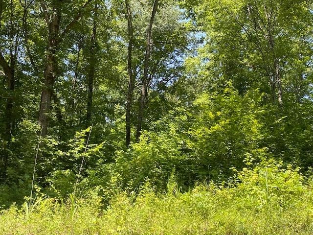 0 Prett Roland Road Adamsville, TN 38310 - Photo 9 of 16 Gallery Image 9