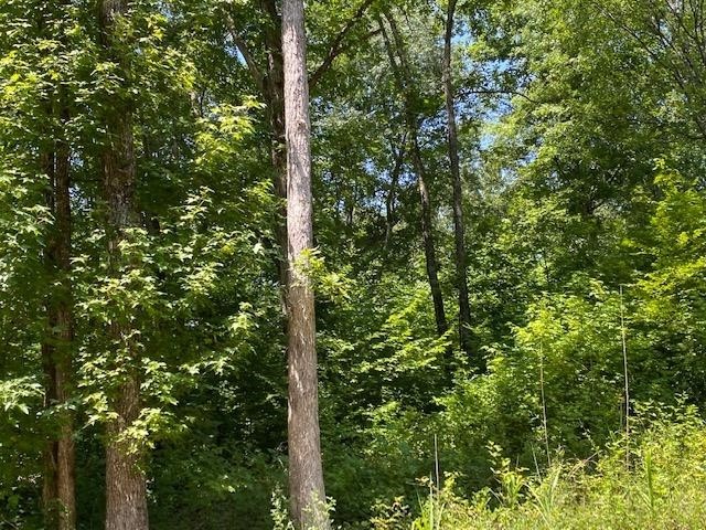 0 Prett Roland Road Adamsville, TN 38310 - Photo 10 of 16 Gallery Image 10