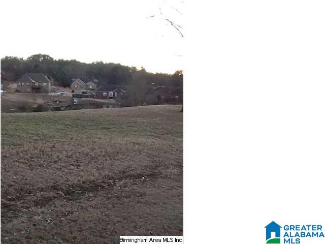 8810 Stemley Road Talladega, AL 35160 - Photo 26 of 32
