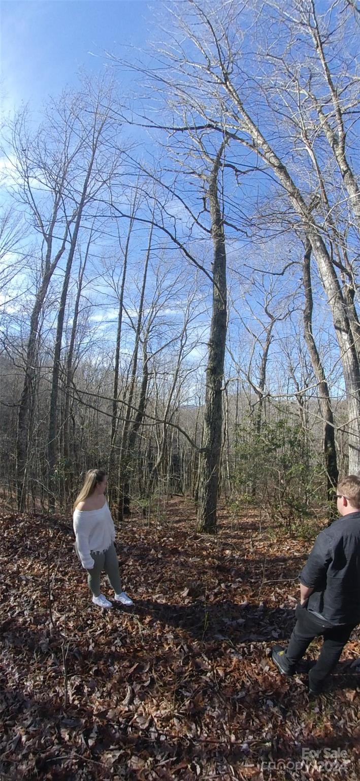 744 Manna Way Sylva, NC 28779 - Photo 2 of 4