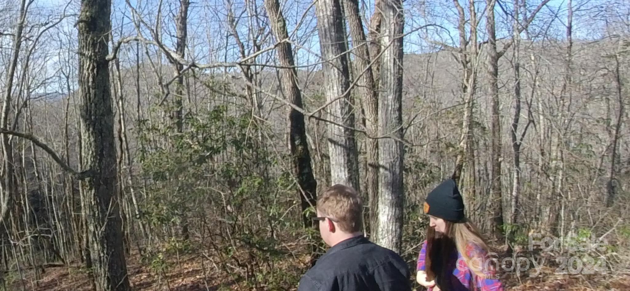 744 Manna Way Sylva, NC 28779 - Photo 3 of 4