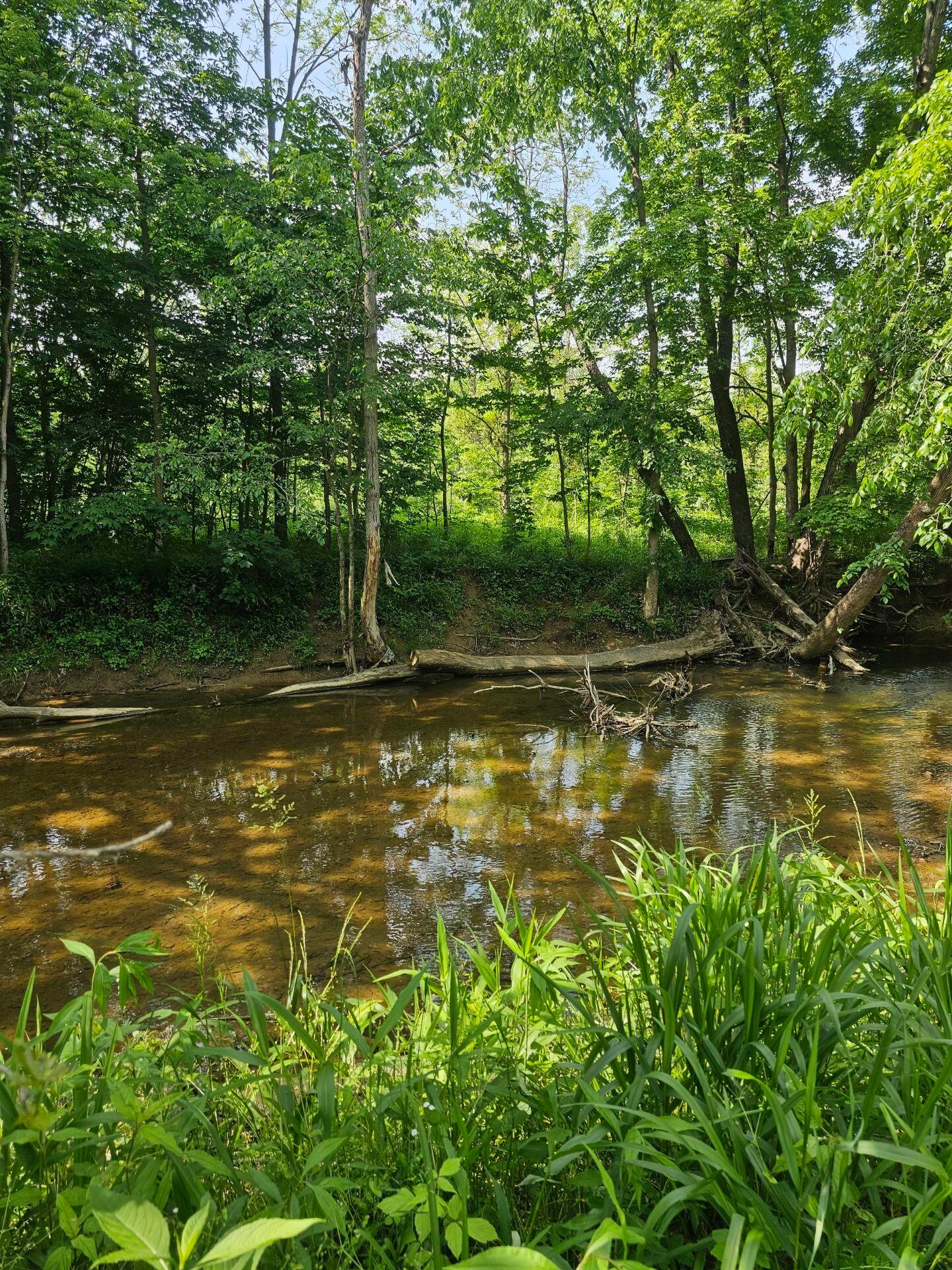 Creek