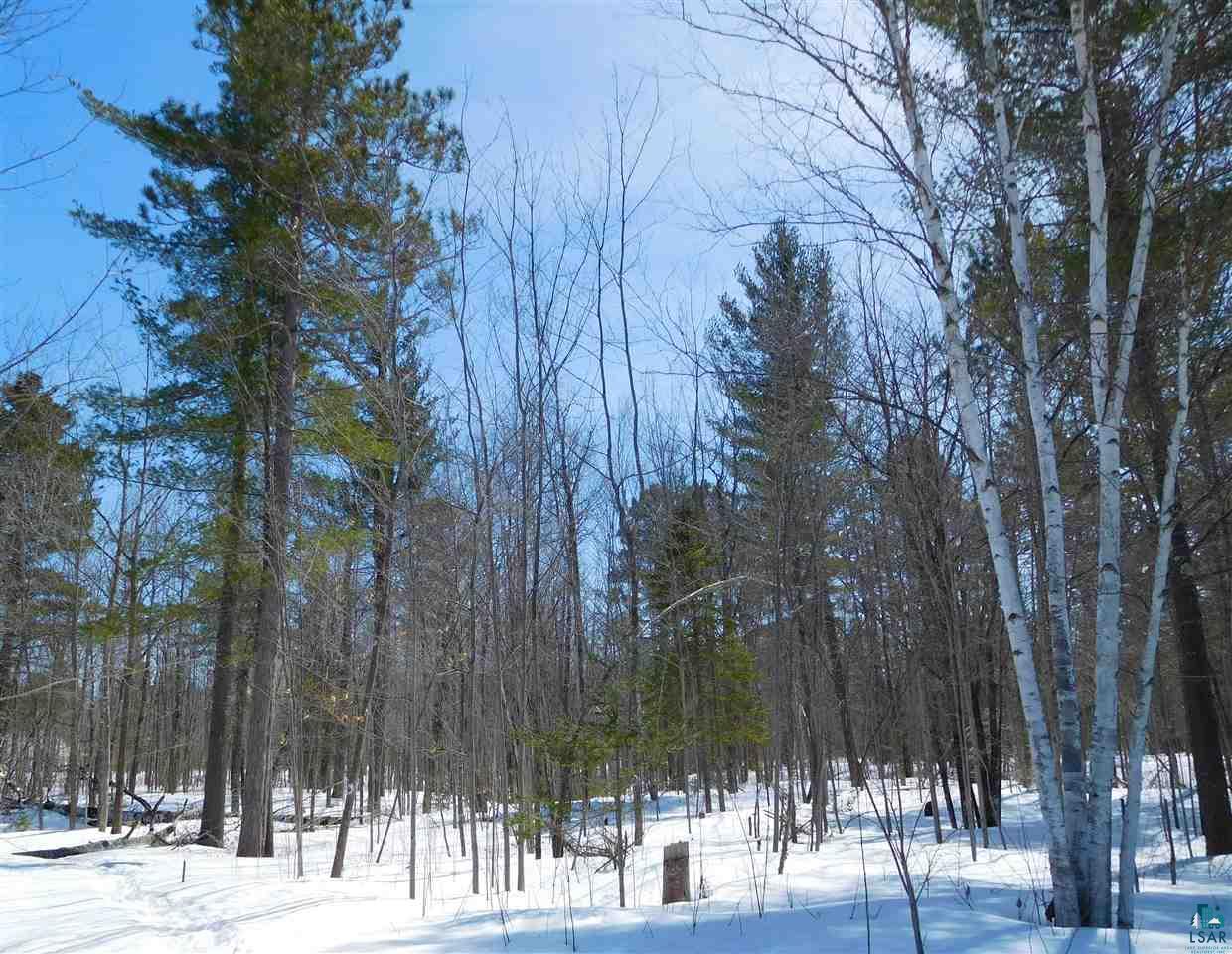 29625 McKinley Road Washburn, WI 54891 - Photo 16 of 24 Completely Secluded