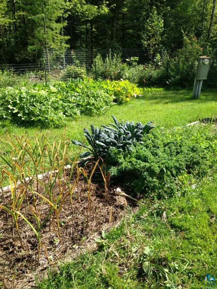 29625 McKinley Road Washburn, WI 54891 - Photo 22 of 24 Fresh Herbs Veggies & Fruit