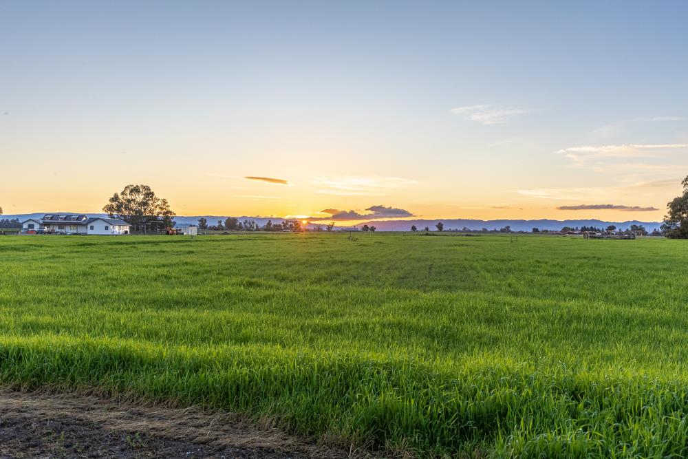 27150 Pierce Ranch Road Davis, CA 95616 - Photo 20 of 26