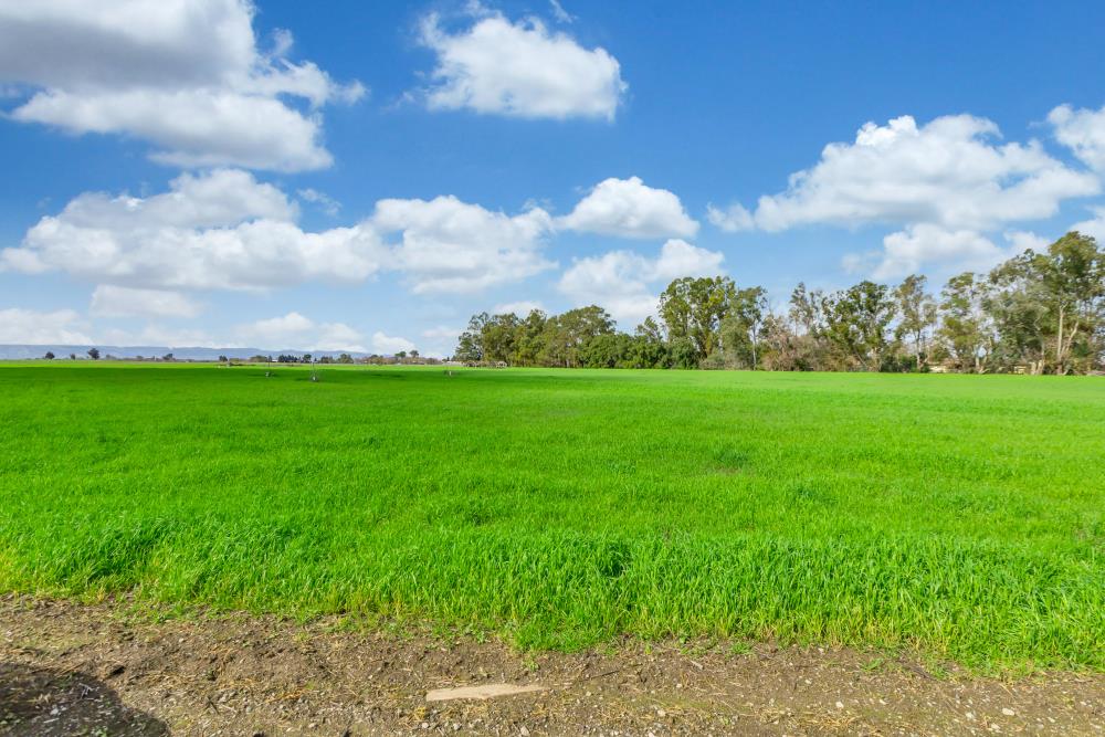 27150 Pierce Ranch Road Davis, CA 95616 - Photo 4 of 26
