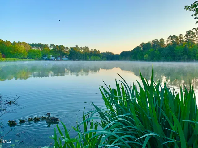 a view of a lake view with a garden
