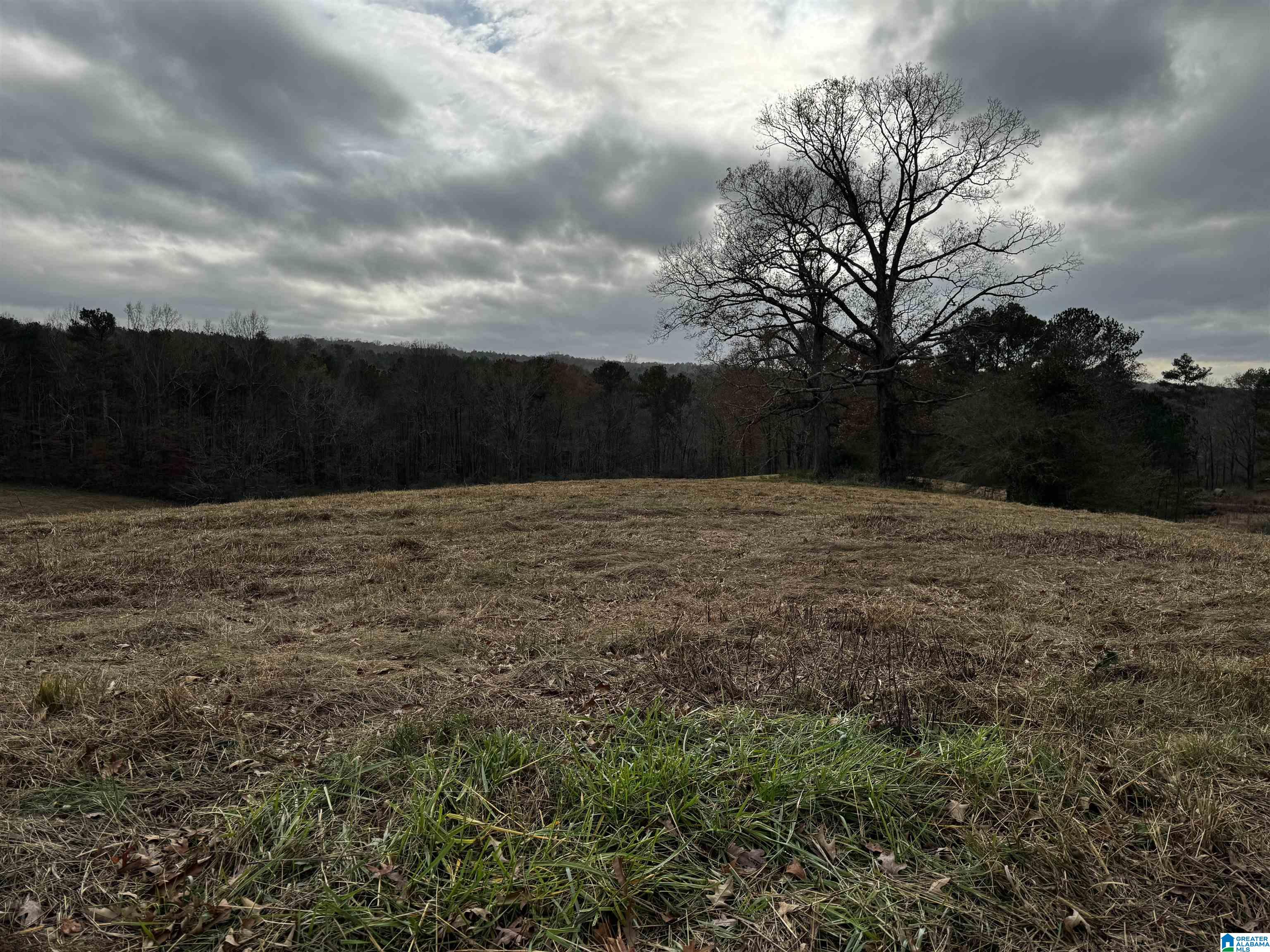 0 Sawmill Road Blountsville, AL 35031 - Photo 5 of 5