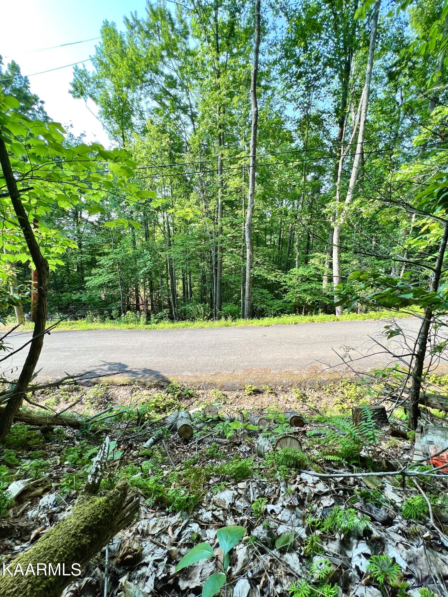 Rhododendron Lane Sevierville, TN 37876 - Photo 2 of 3 IMG-4468 (1)