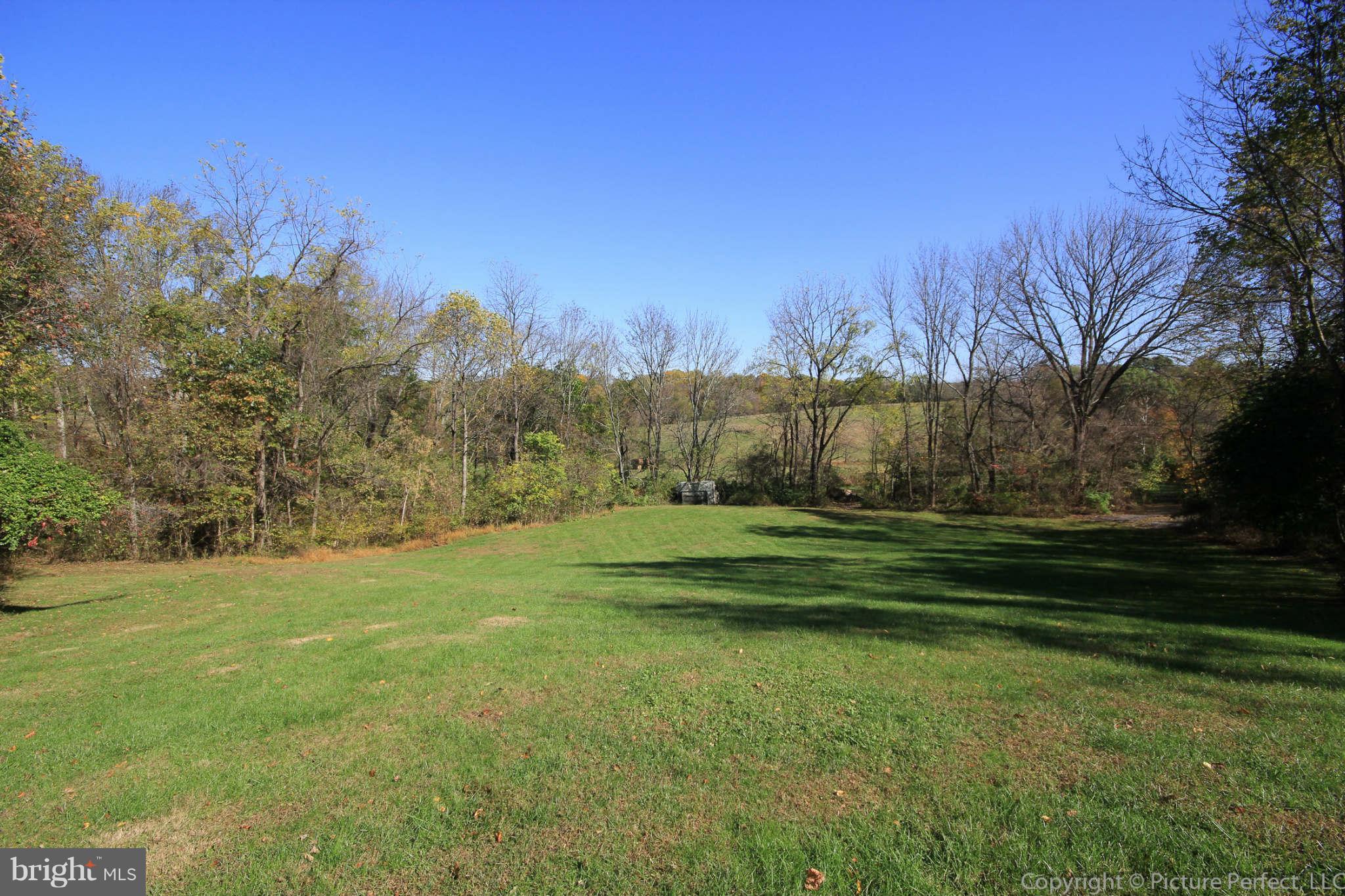 11771 Ridgeway Drive Monrovia, MD 21770 - Photo 23 of 30 Rear Yard