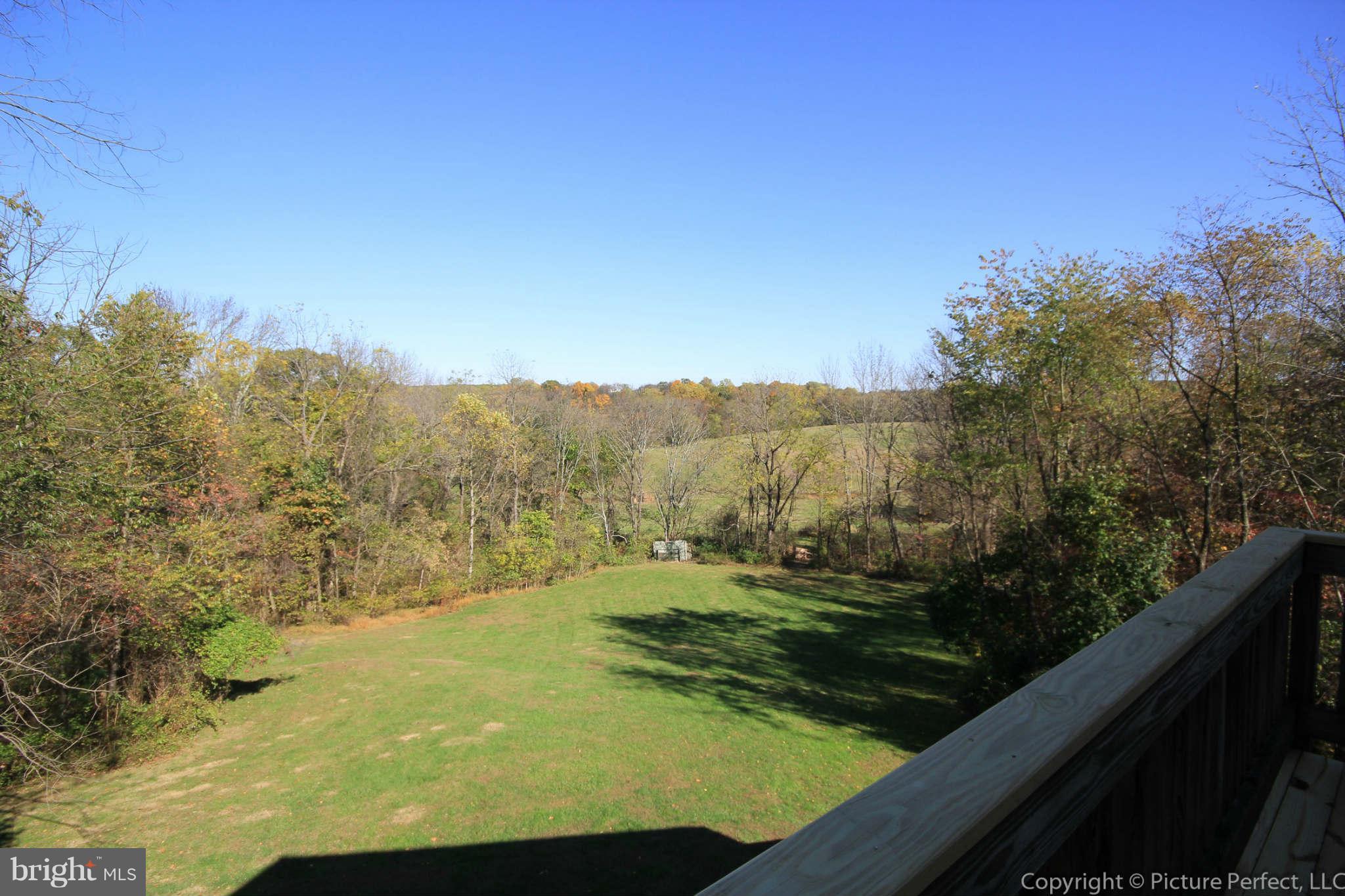11771 Ridgeway Drive Monrovia, MD 21770 - Photo 28 of 30 View from Master Bedroom Deck